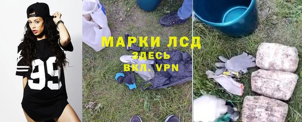 кокс Алзамай